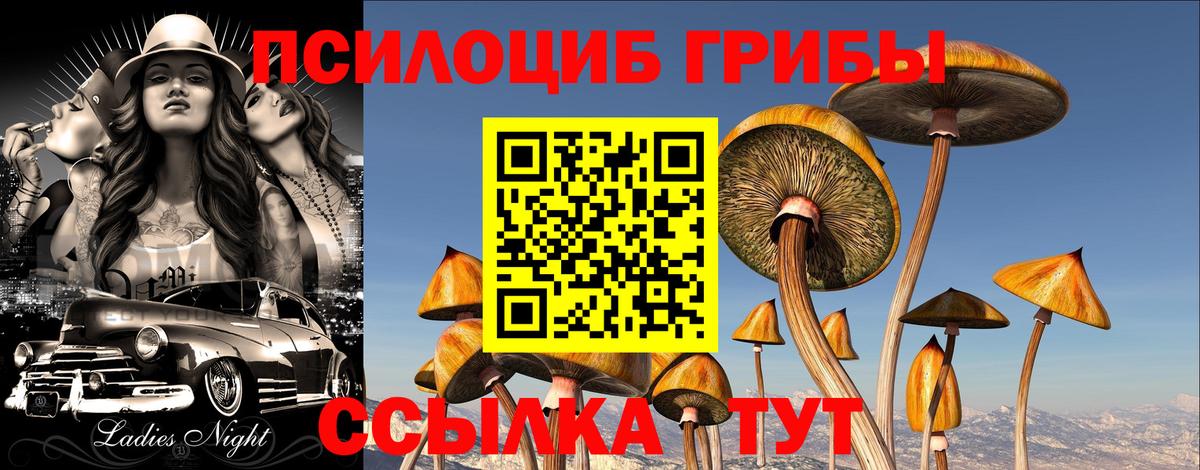 продажа наркотиков  Вход с VPN  Назарово  Псилоцибиновые грибы мицелий 