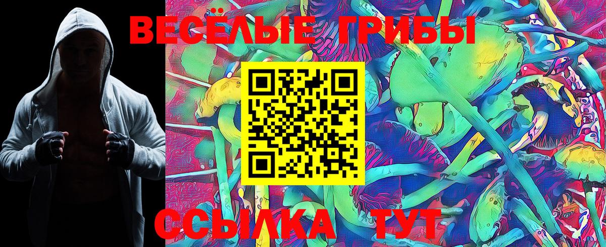 Псилоцибиновые грибы Psilocybe Назарово